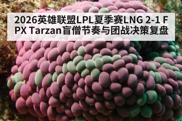 2026英雄联盟LPL夏季赛LNG 2-1 FPX Tarzan盲僧节奏与团战决策复盘