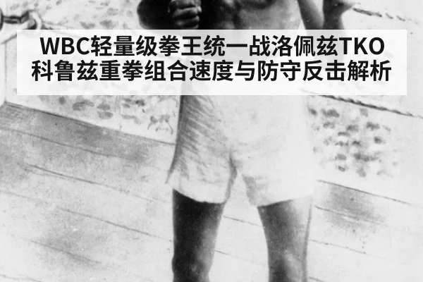 WBC轻量级拳王统一战洛佩兹TKO科鲁兹重拳组合速度与防守反击解析