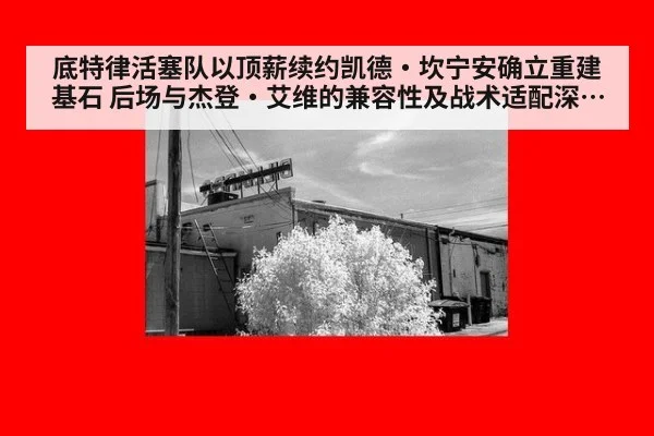 底特律活塞队以顶薪续约凯德·坎宁安确立重建基石 后场与杰登·艾维的兼容性及战术适配深度解析